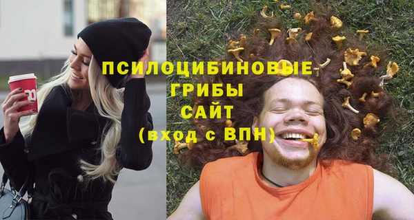 герыч Мегион