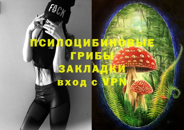 spice Михайловка