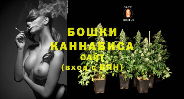 PSILOCYBIN Михайловск