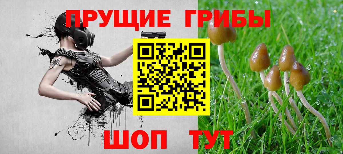Галлюциногенные грибы мухоморы Северодвинск