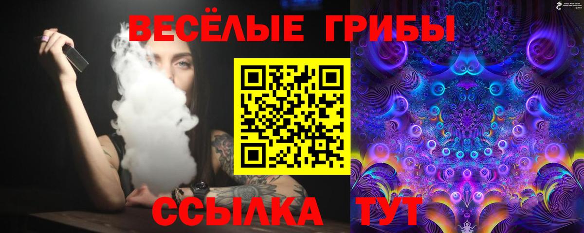 Галлюциногенные грибы Psilocybe Северодвинск