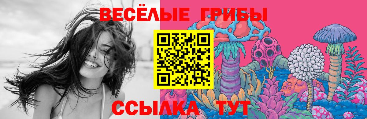 где можно купить наркотик  Северодвинск  Псилоцибиновые грибы мицелий 