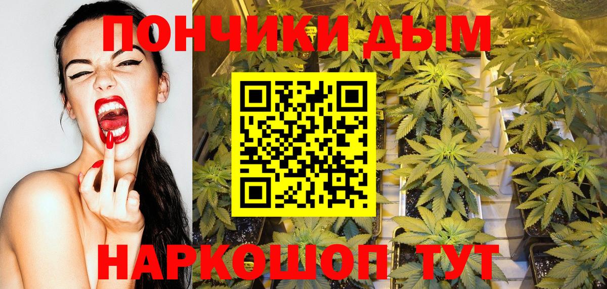 Шишки марихуана планчик Северодвинск